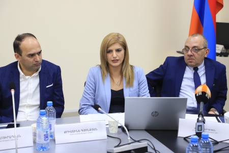 Երեխաների Առցանց Անվտանգության Խնդիրները Քննարկել Են ՀՕՄ ԵՒ ԲՏԱ Նախարարությունը